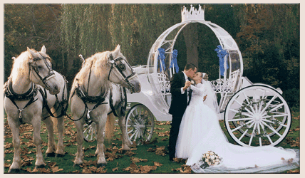 Cinderella Wedding Horse Drawn Carriage