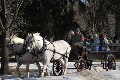 12 Passenger Horse Drawn Wagon